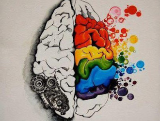 neurociencia e arte