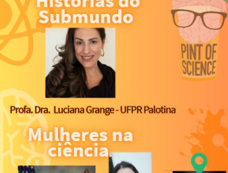 Captura de tela 2025 05 16 161910