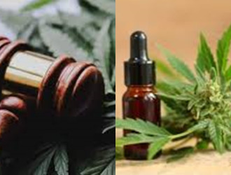 cannabis v2
