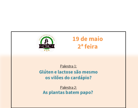capa dia19