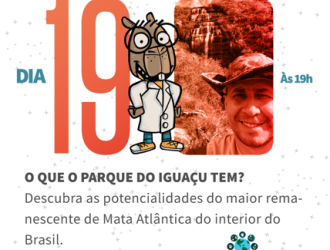 dia 1