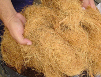 fibra de coco