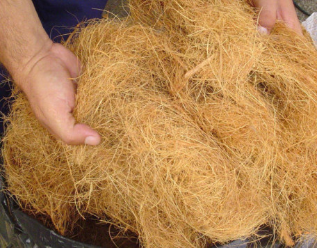 fibra de coco