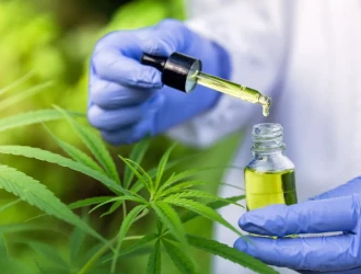 maconha medicinal 2