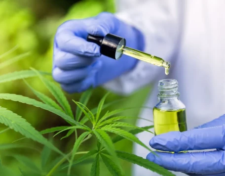 maconha medicinal 2
