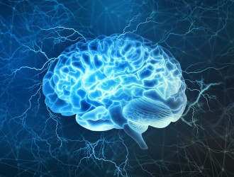 neurociencia v2