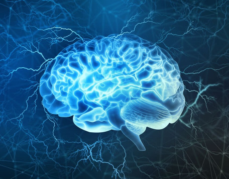 neurociencia v2