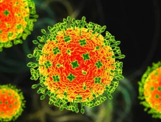 virus