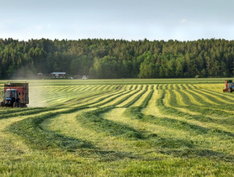 Silage windrows and two tractors 2