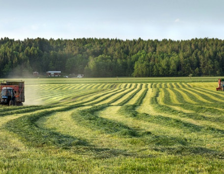 Silage windrows and two tractors 2