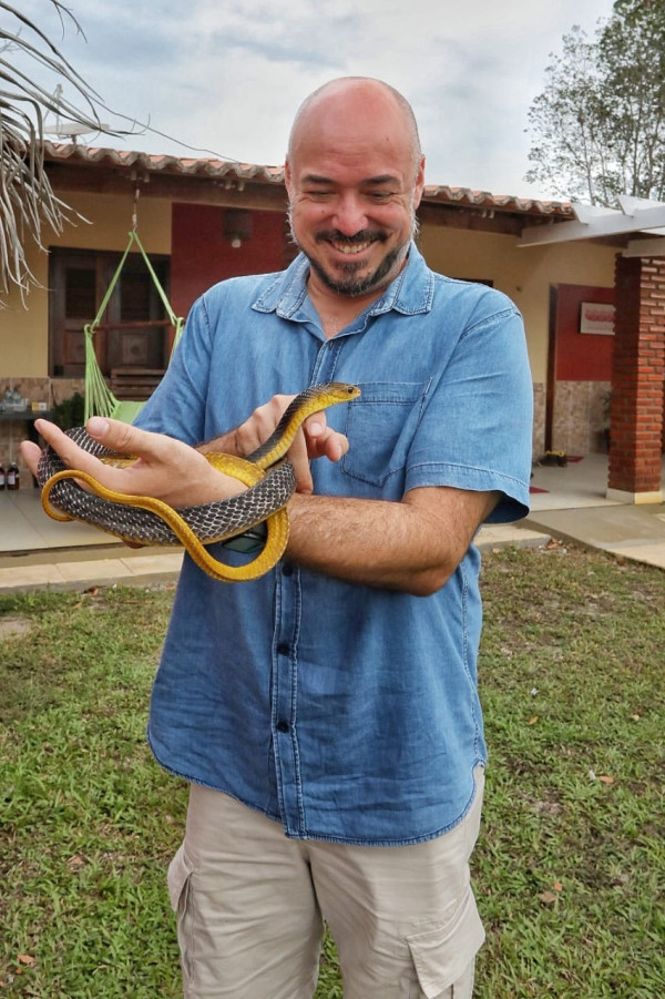 Eduardo Bessa, coordenador do Pint Brasil e zoólogo, com uma serpente amarela na mão