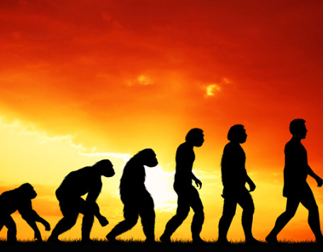 Body 27 Evolution