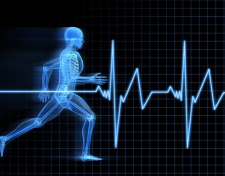 Body 31 Running Skeleton