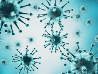 as doencas causadas por virus sao denominadas viroses 58e3c17a6ca26